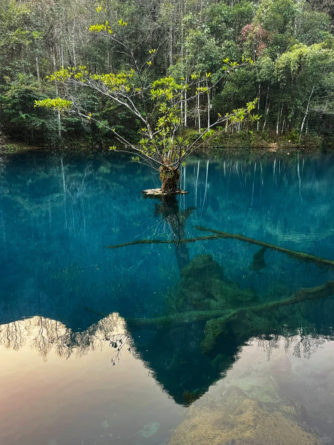 樟江幻境🏞️-Day110-贵州黔南州荔波篇