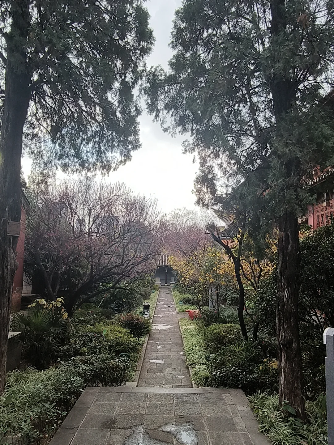 昆明官渡一日游