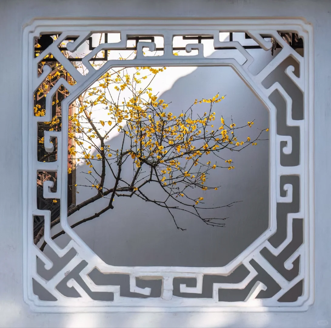 过年苏州给你放价了‼️72家景区统统半价