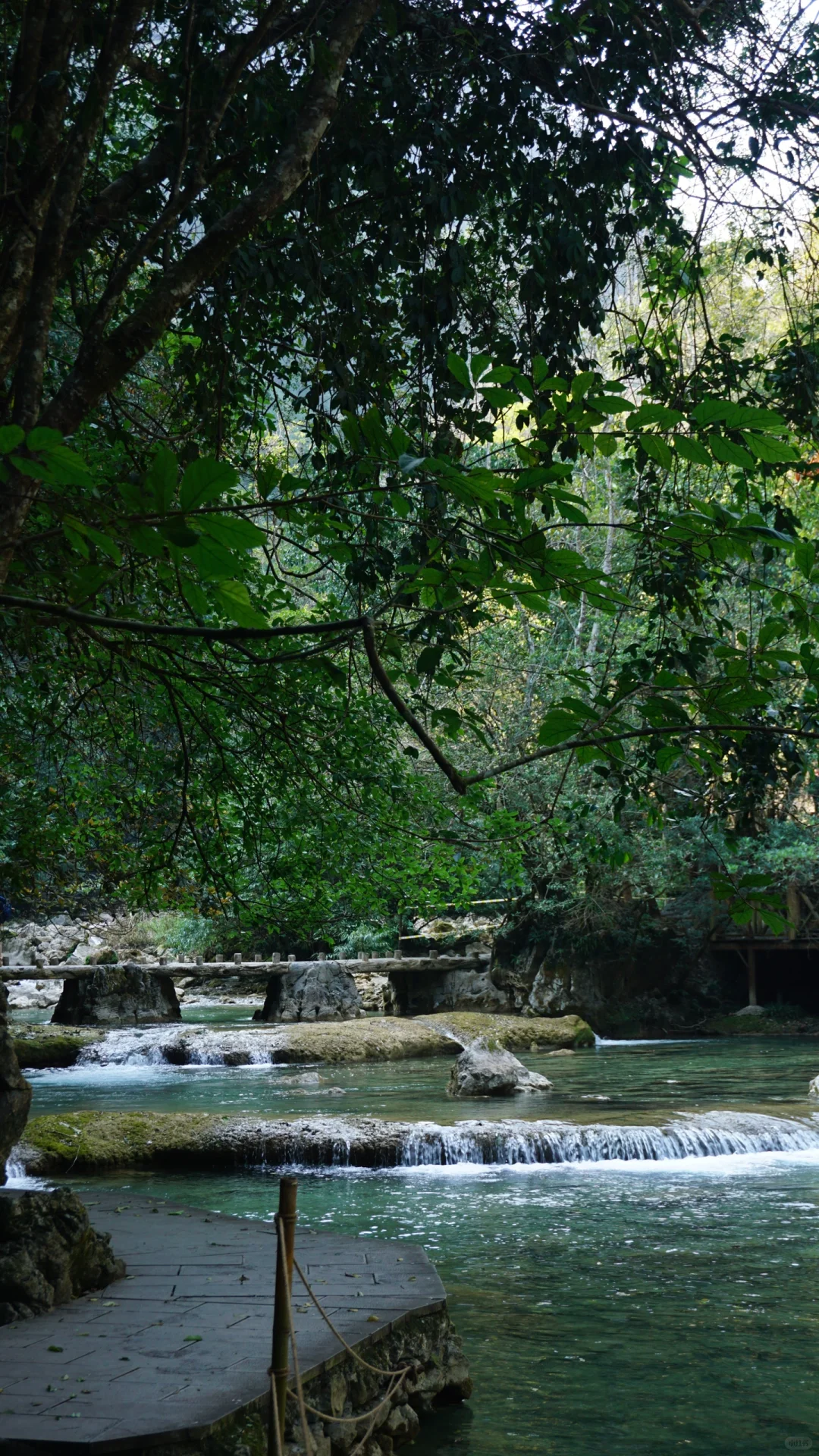 樟江幻境🏞️-Day110-贵州黔南州荔波篇