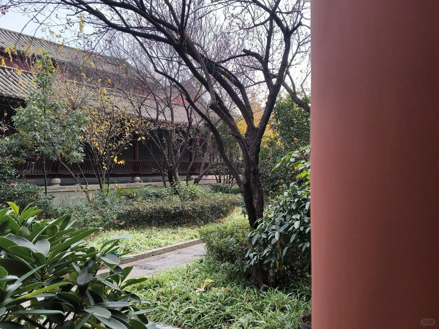 昆明官渡一日游