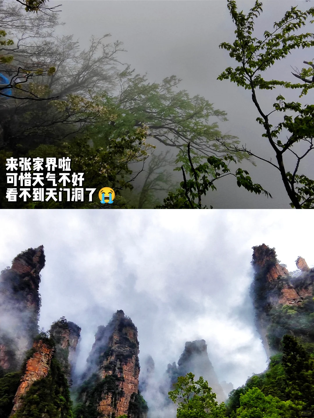 大家旅游都去过那些地方？交换一下风景吧