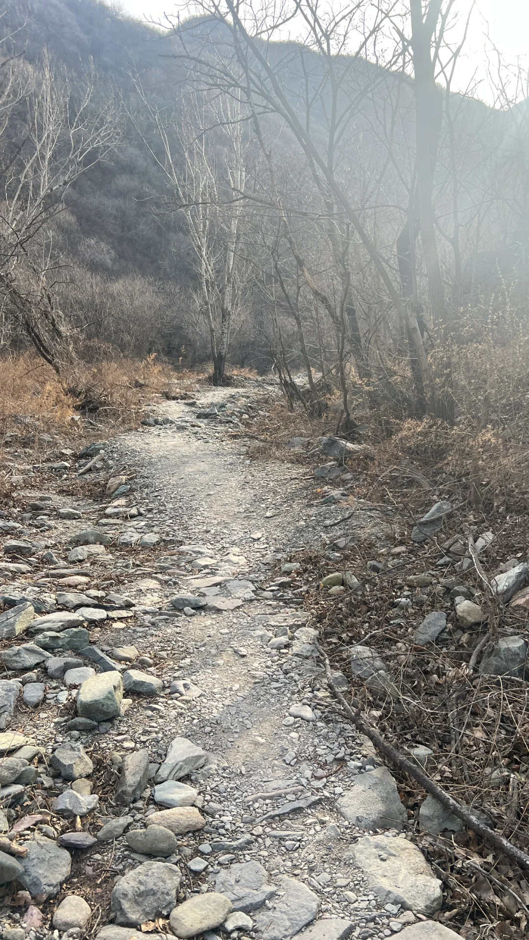 冰瀑‼️绝对是寒冷季节里的浪漫🌈