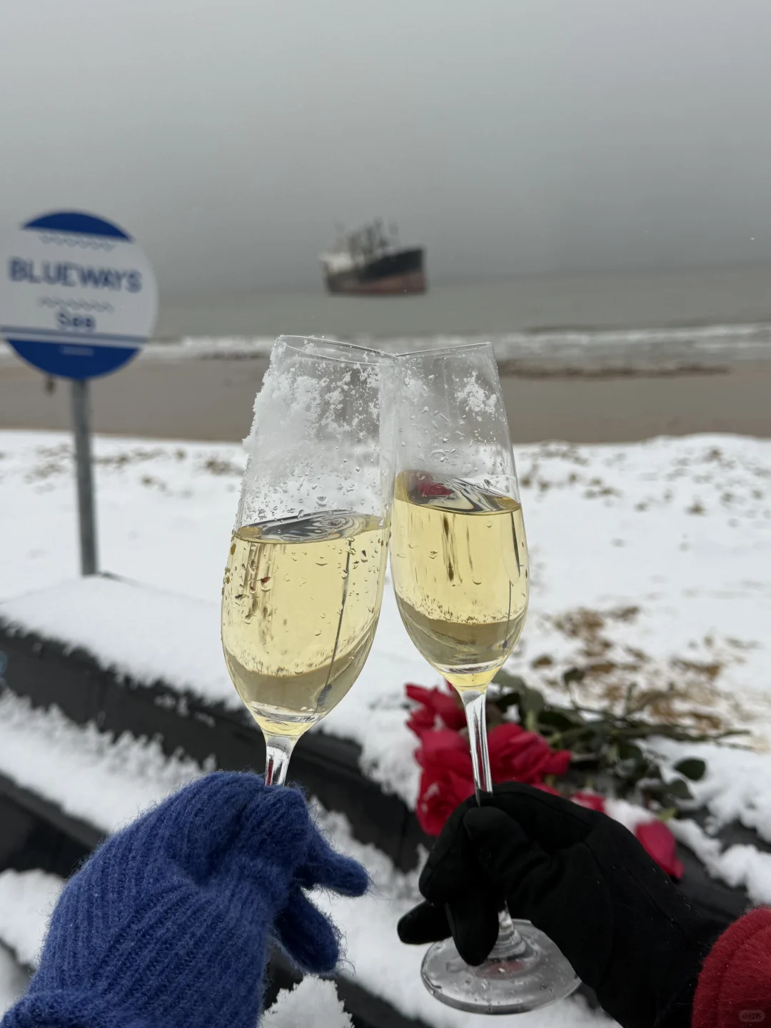 1.8威海实拍live❄️期待的大雪如约而至❤️