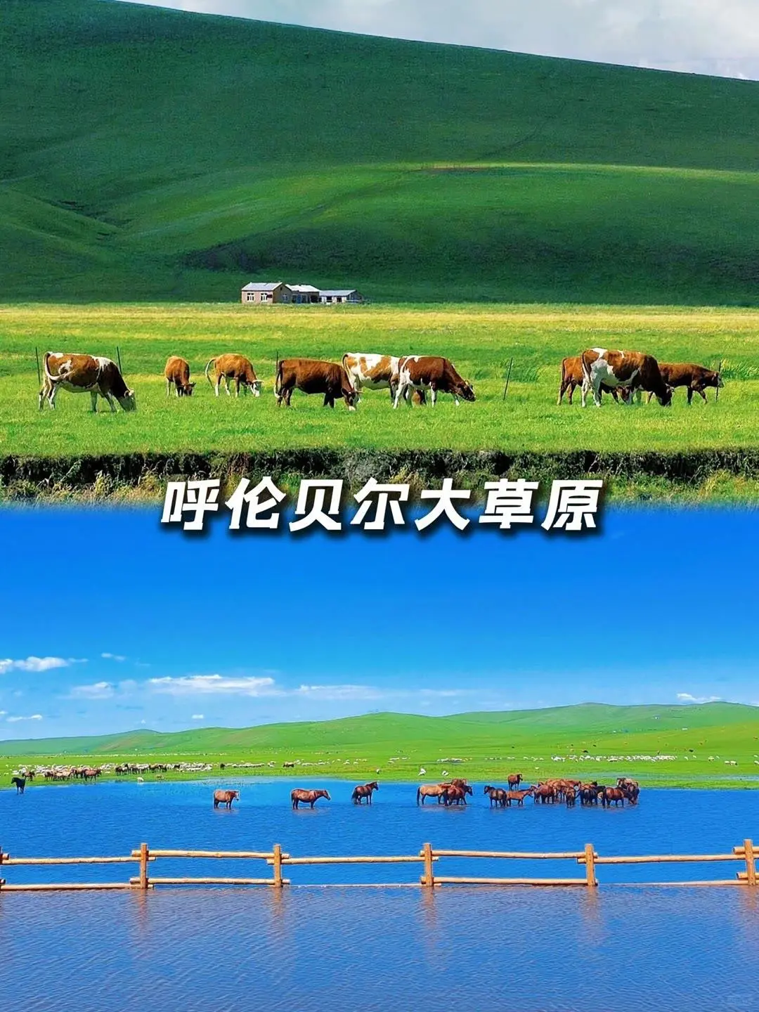 内蒙古超全面景点游玩指南✅