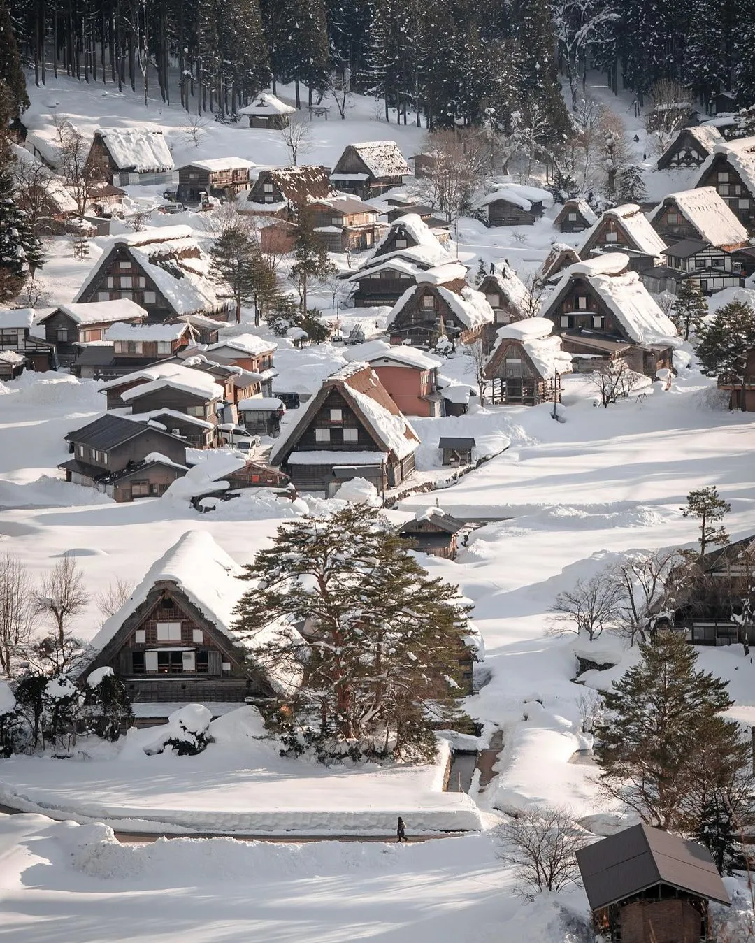 名古屋或大阪进出，白川乡金泽JR交通攻略