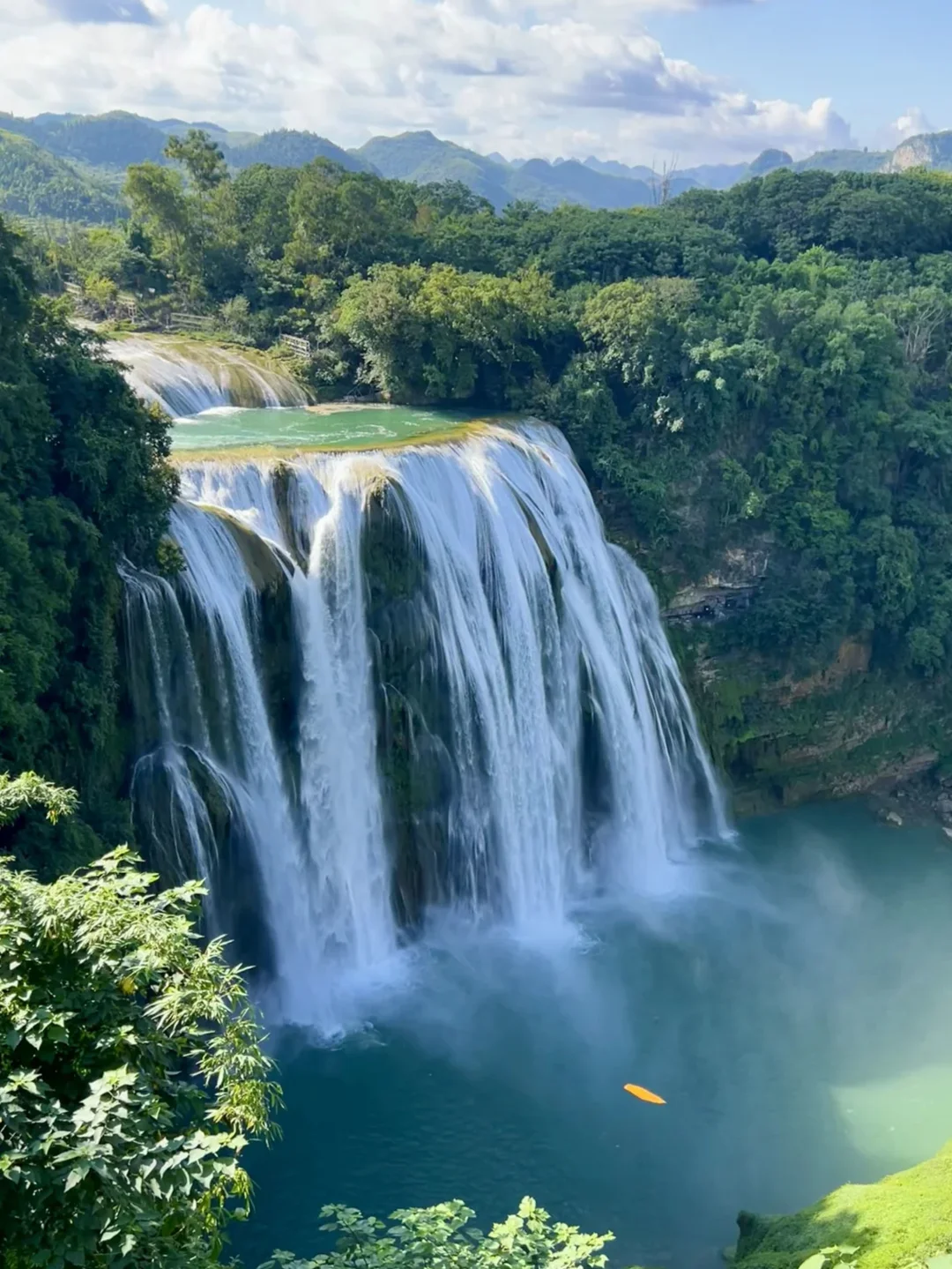 春节反向旅游✅和老公去贵州赏最早油菜花海