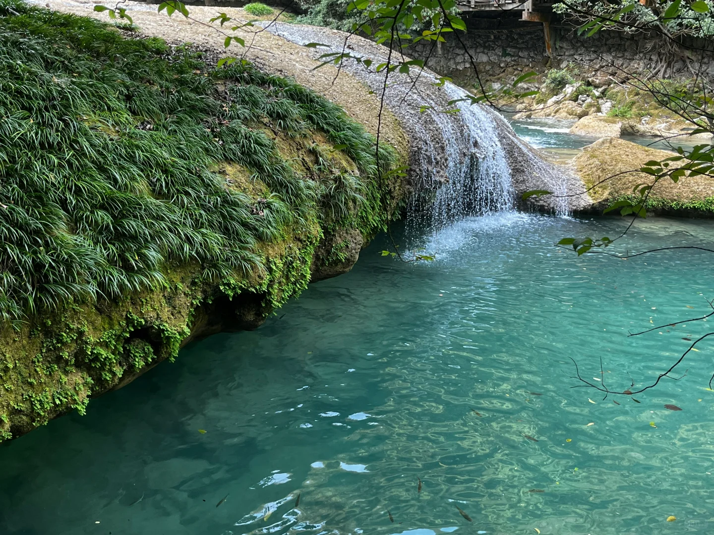 樟江幻境🏞️-Day110-贵州黔南州荔波篇