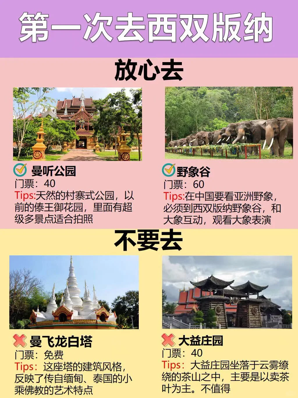 西双版纳旅游景点｜放心去🆚不要去(五)