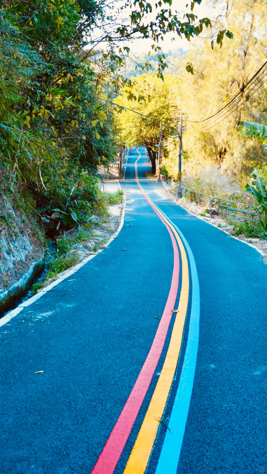 🌈花都梯面 | 彩虹步道，徒步骑行的梦幻之旅