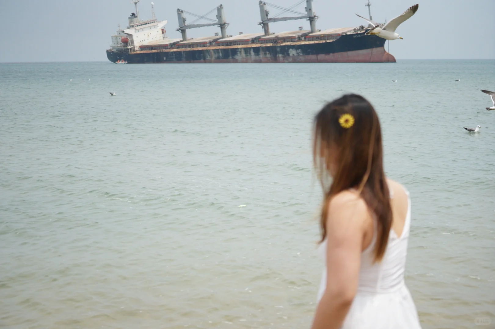 2024是忙碌但是passion的一年