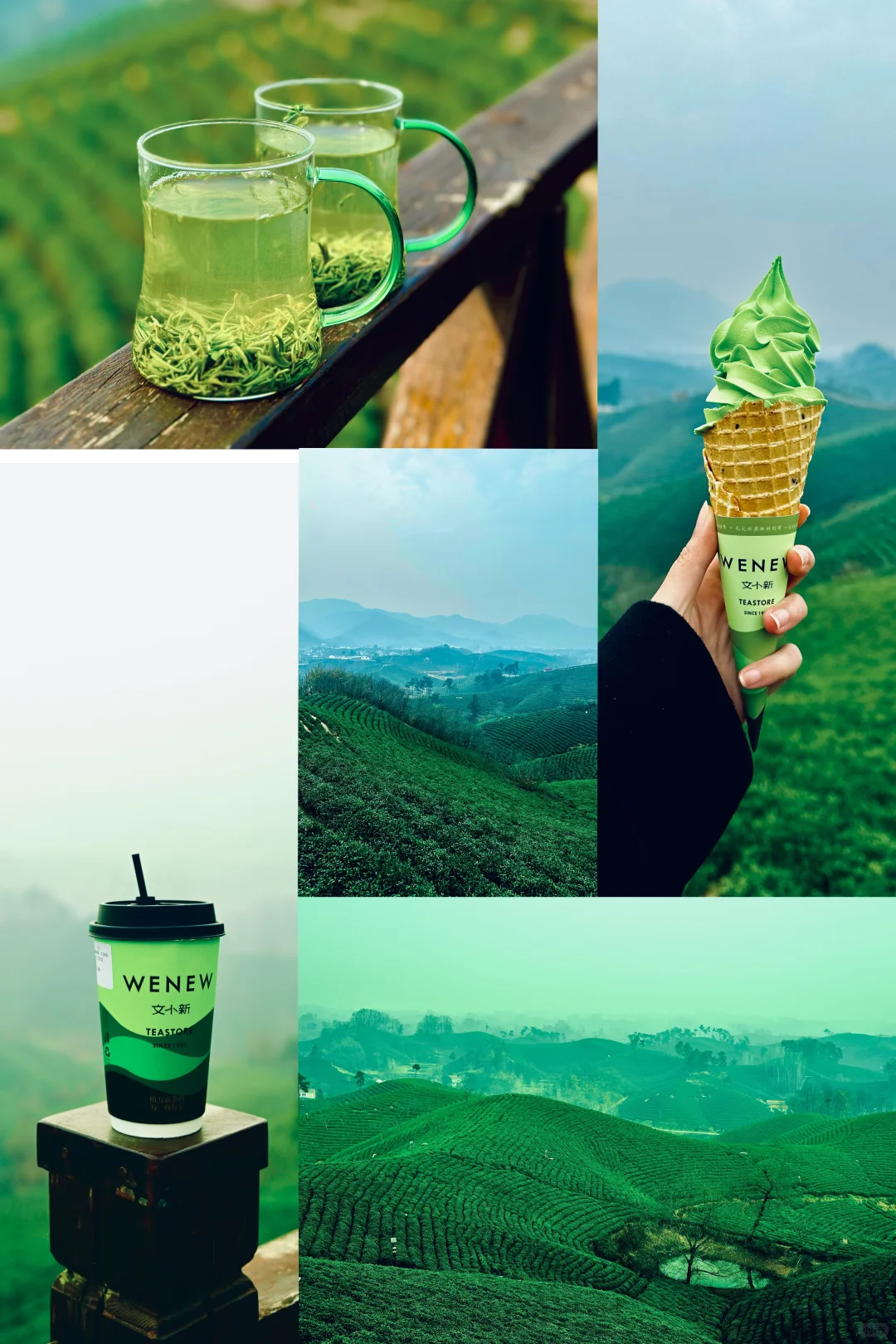 信阳｜文艺小众景点一日游