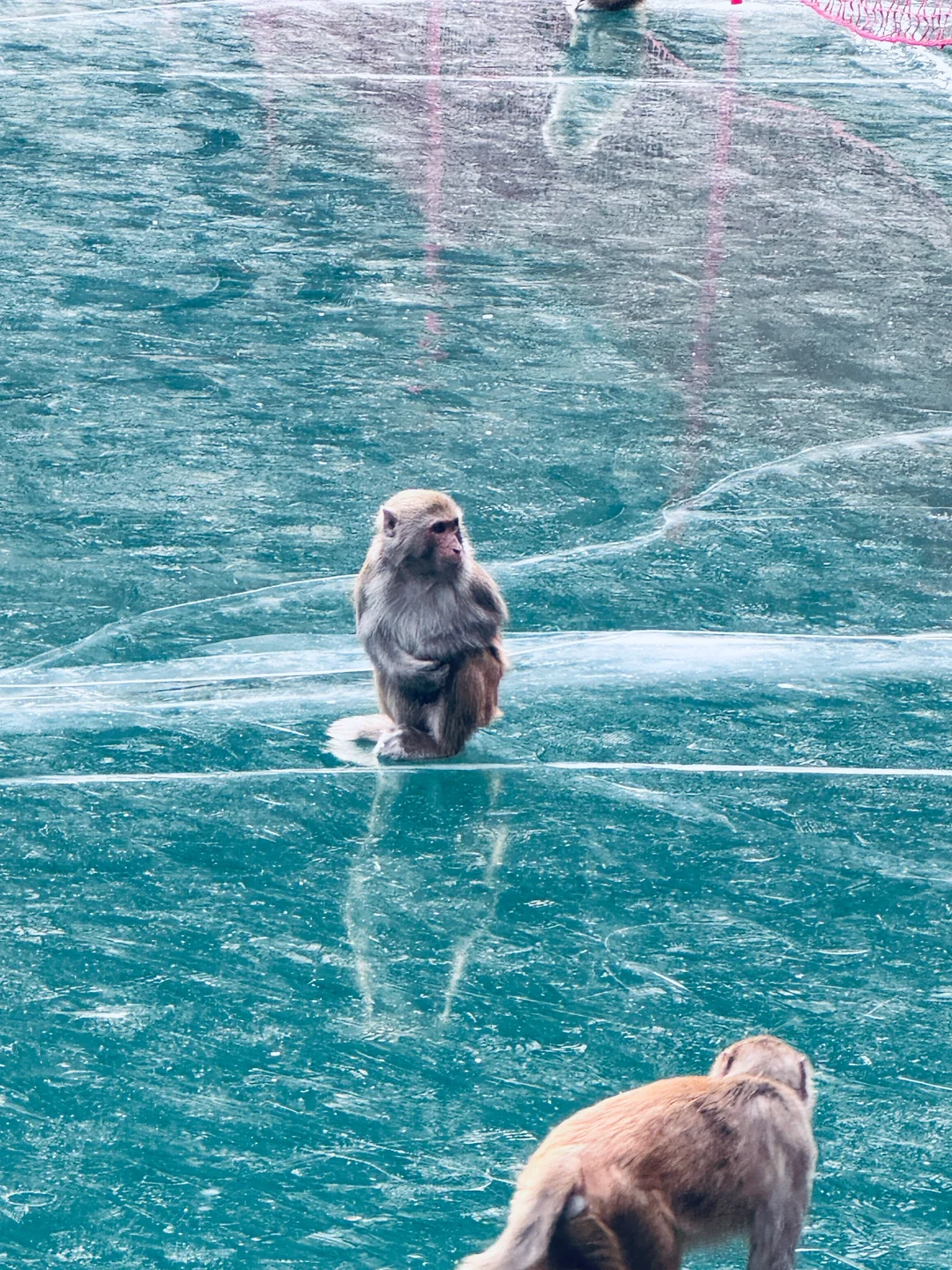 这里不是冰岛，也不是挪威而是