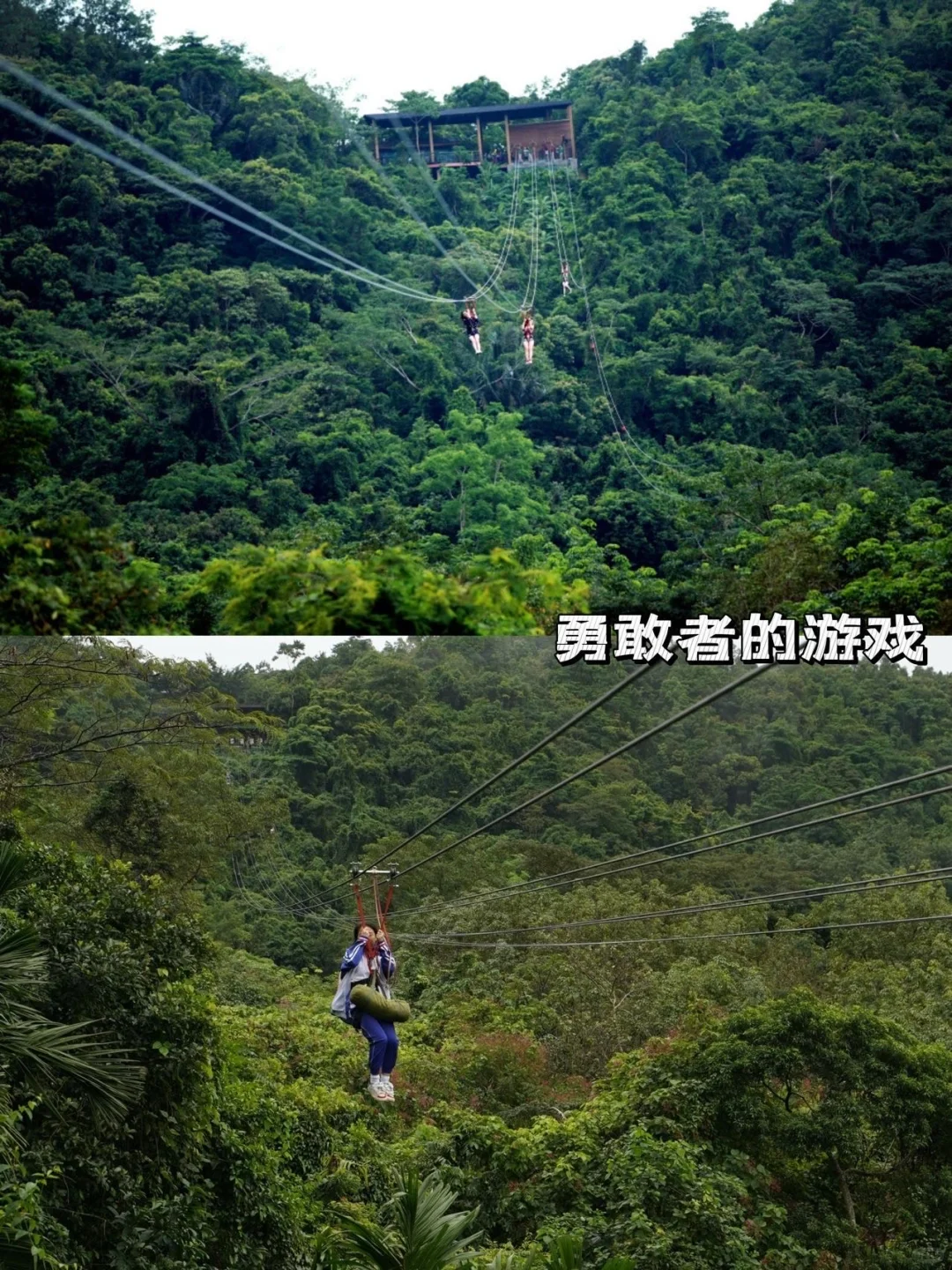 误入三亚呀诺达热带雨林5A景区!!