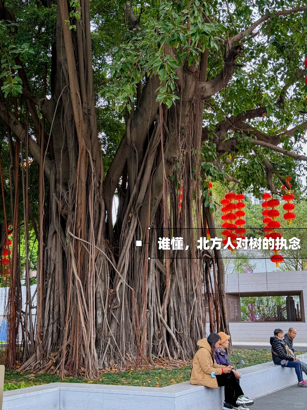 人生建议，一定要带孩子来一次广州