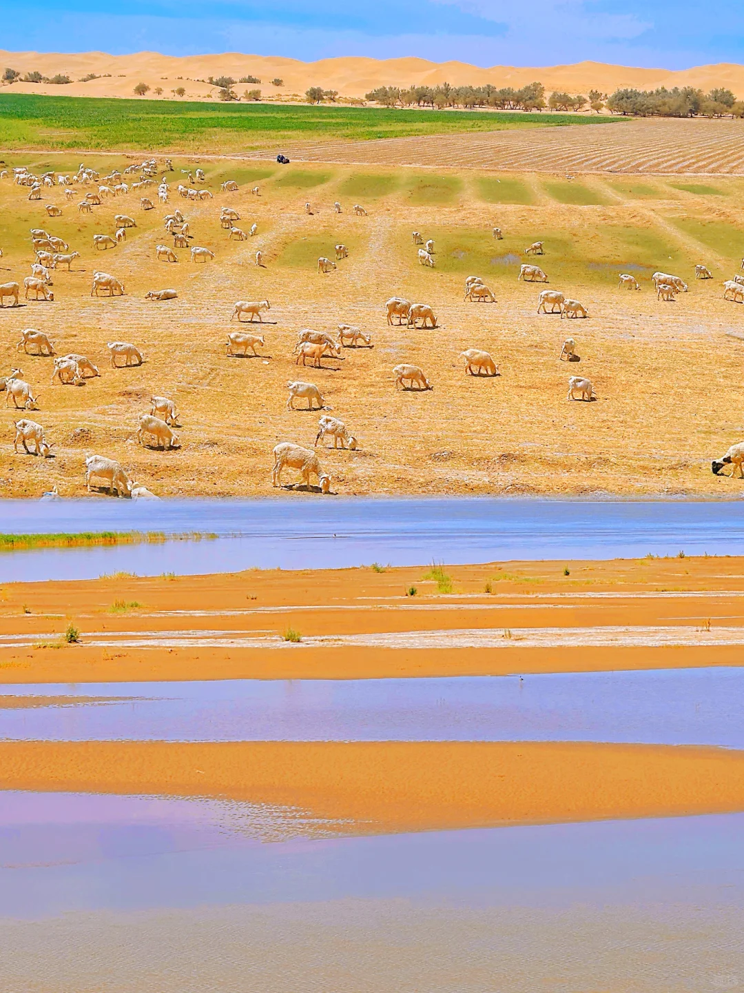 离开乌海后劲真大，两日游不踩雷小众攻略