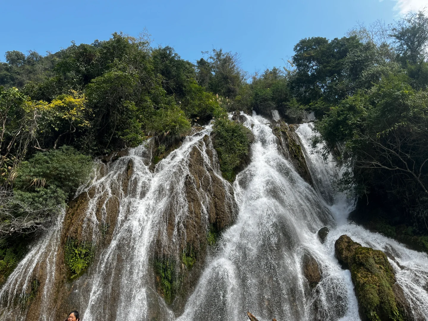 樟江幻境🏞️-Day110-贵州黔南州荔波篇