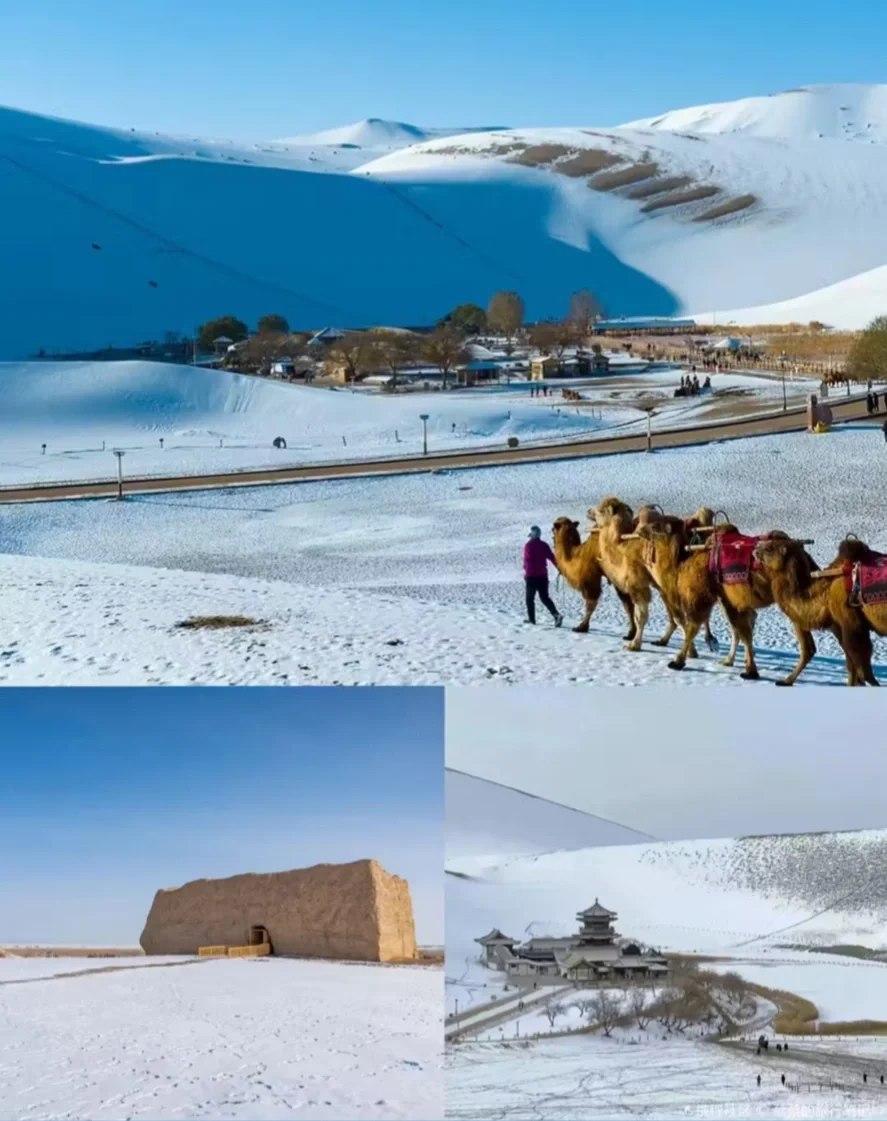 “在沙漠中骑骆驼🐫，穿越丝绸的千年时光🌙”