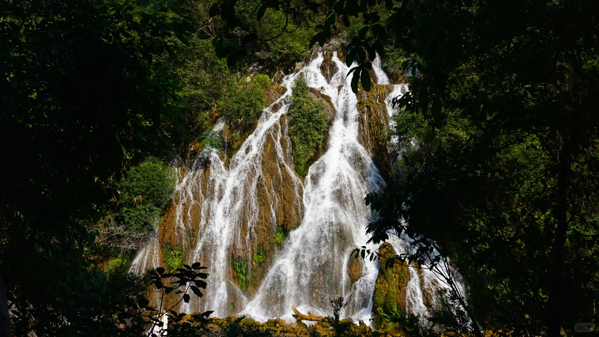 樟江幻境🏞️-Day110-贵州黔南州荔波篇
