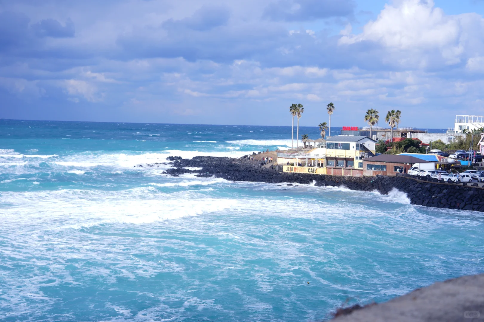 2024是忙碌但是passion的一年