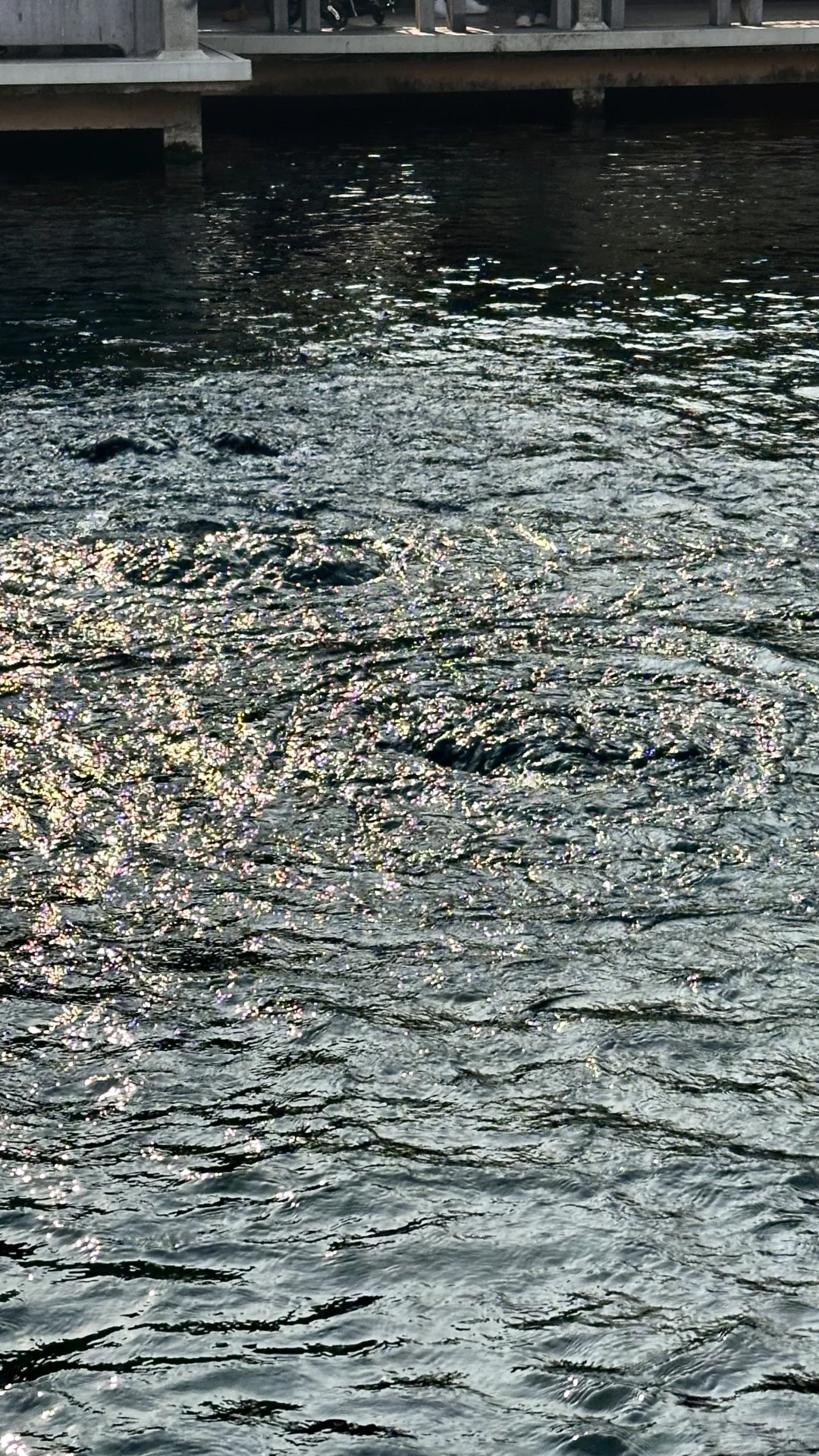 一日玩遍济南热门旅游景点🔥