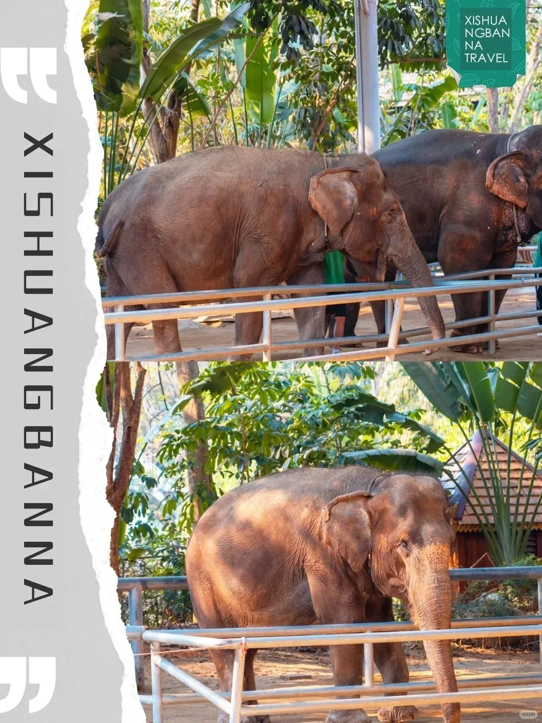 版纳｜特种兵旅行必去景点合集🔥