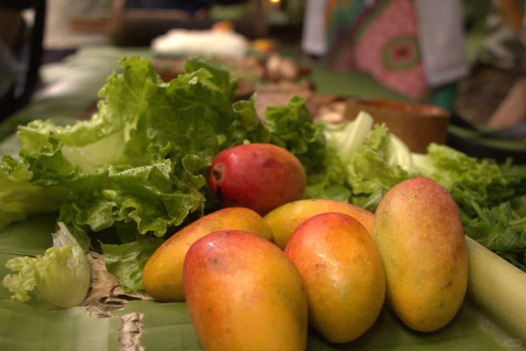 带爸妈来基诺山徒步吧！家庭乐游新选择