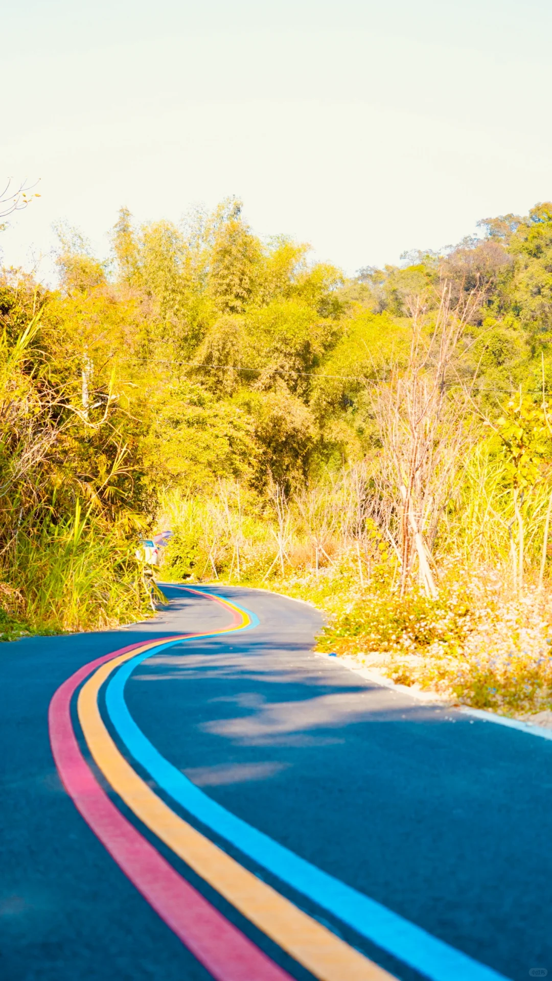 🌈花都梯面 | 彩虹步道，徒步骑行的梦幻之旅