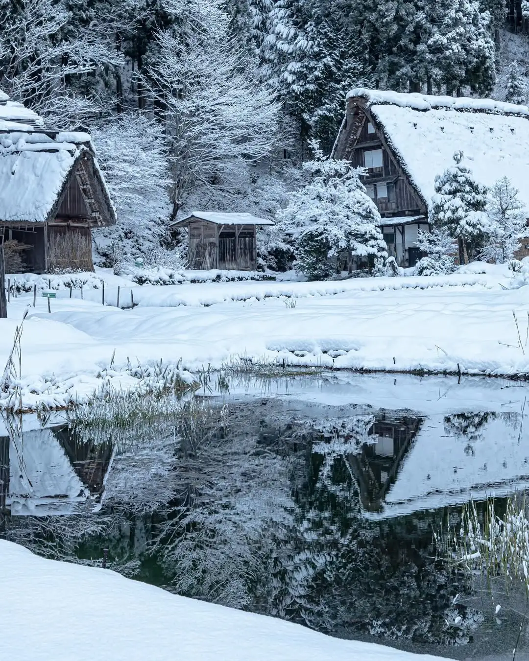 名古屋或大阪进出，白川乡金泽JR交通攻略