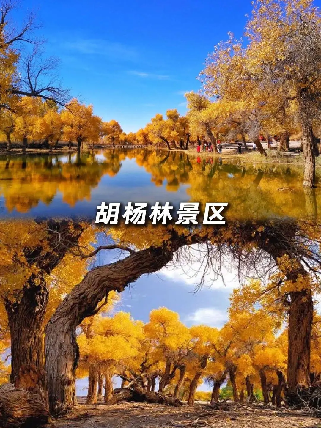 内蒙古超全面景点游玩指南✅