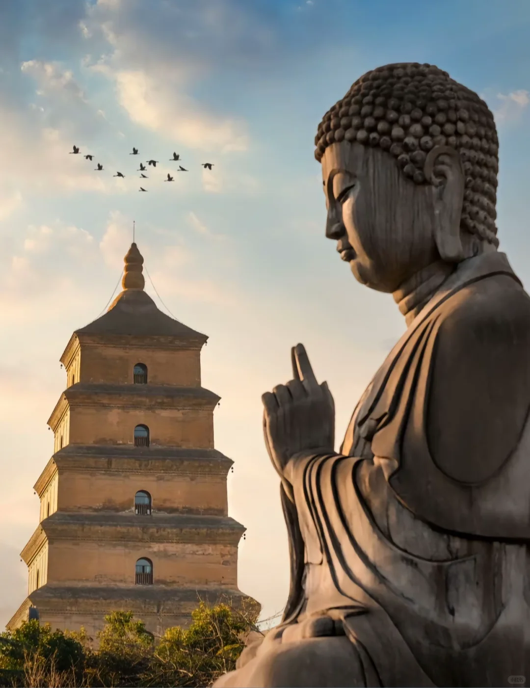 “西安✨古今辉映，来了就不想走的城市🌆”