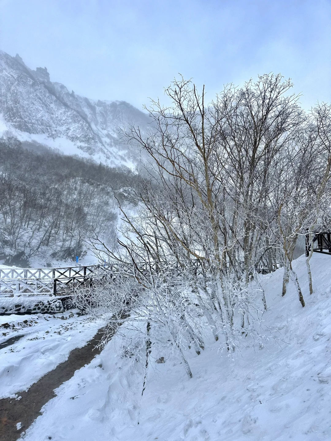 北有长白 与云齐兮🏔️长白山天池