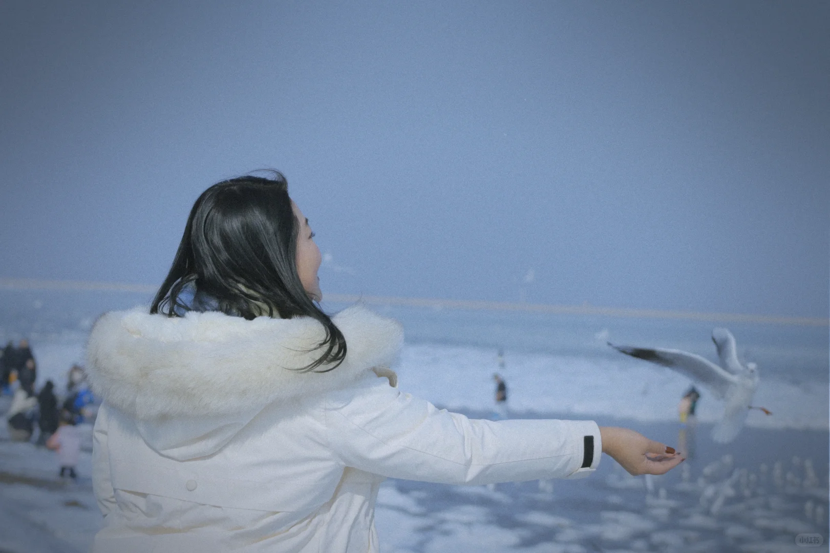 2024是忙碌但是passion的一年