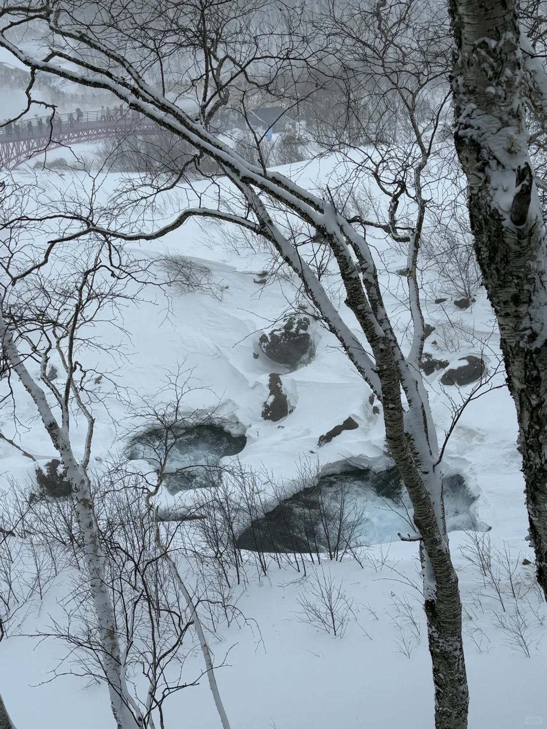 北有长白 与云齐兮🏔️长白山天池