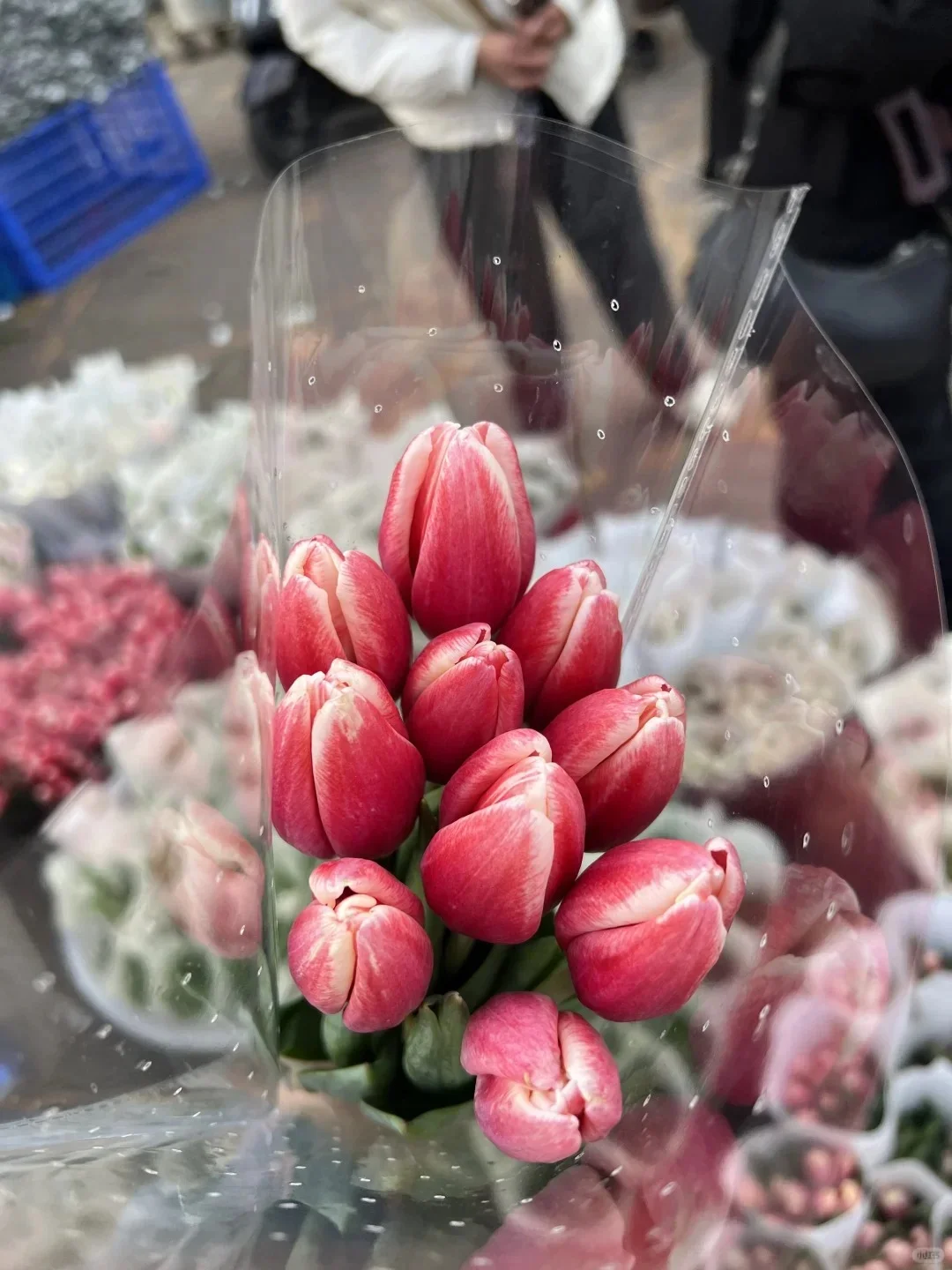 昆明旅游必去九大景点🗺️ 深度Citywalk体验