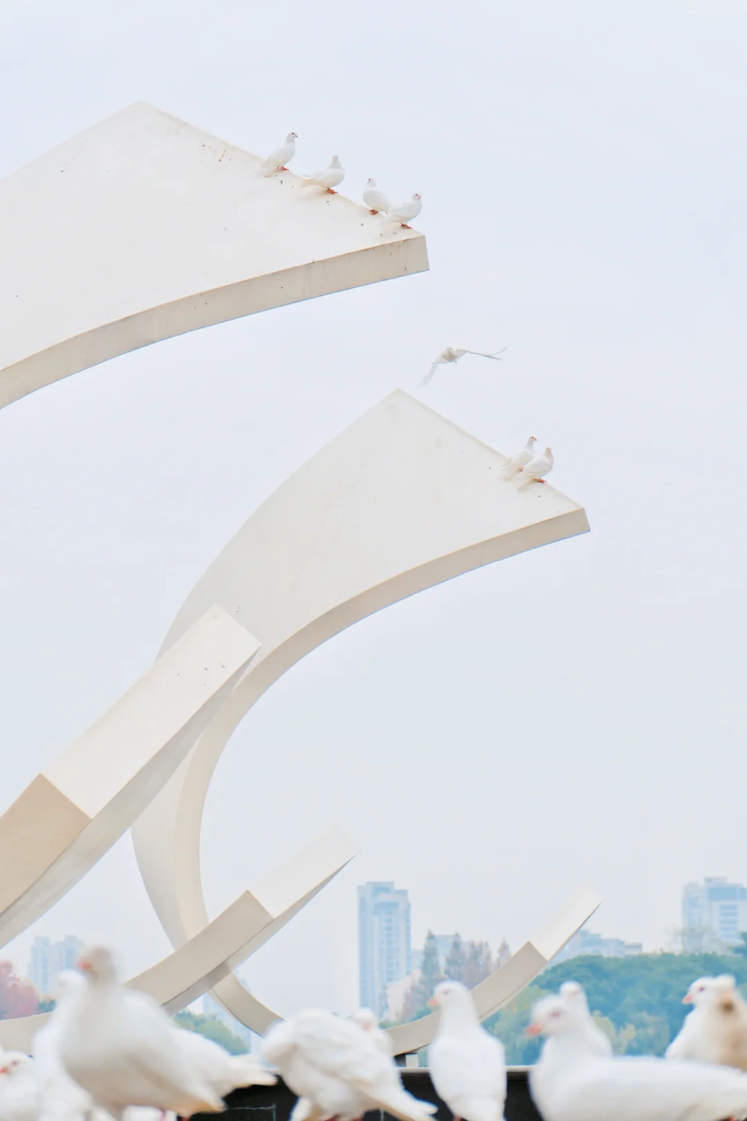 被低估的宝藏小城📍平湖周末游 抄作业吧