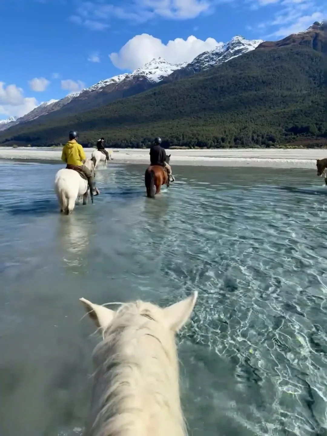 听劝！皇后镇这些景点要预约！避免排队买票！