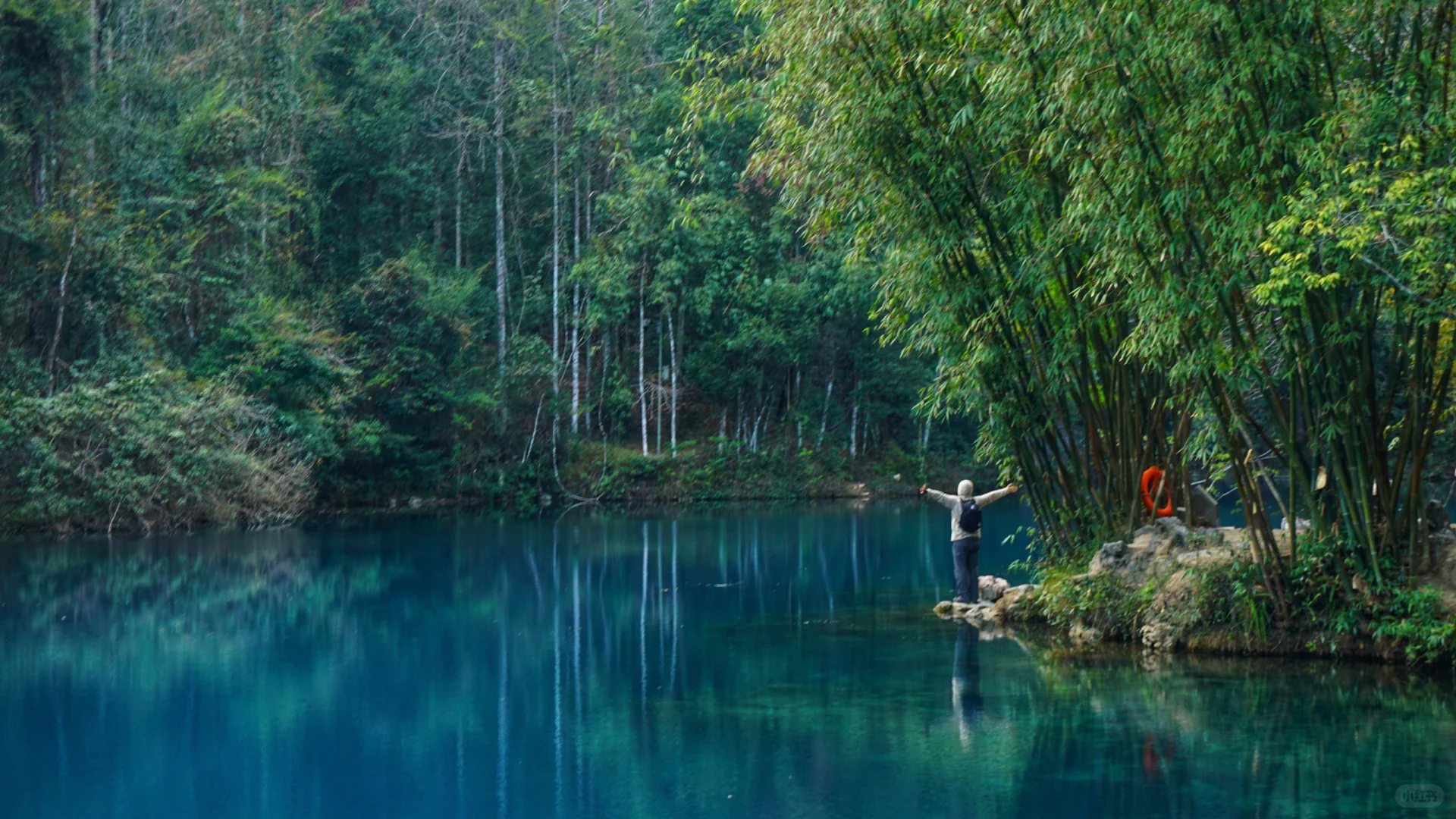 樟江幻境🏞️-Day110-贵州黔南州荔波篇