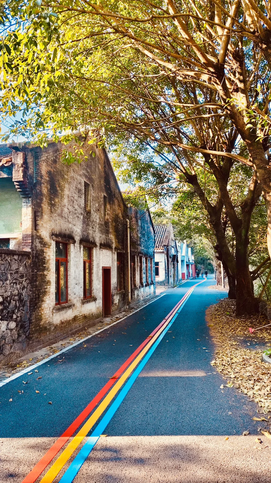 🌈花都梯面 | 彩虹步道，徒步骑行的梦幻之旅