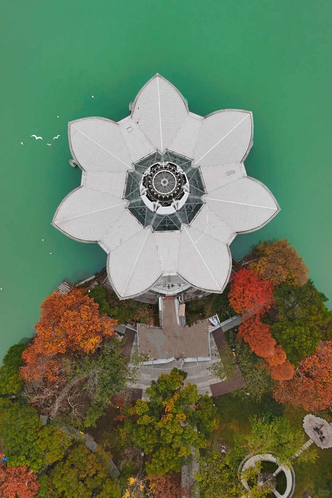 被低估的宝藏小城📍平湖周末游 抄作业吧