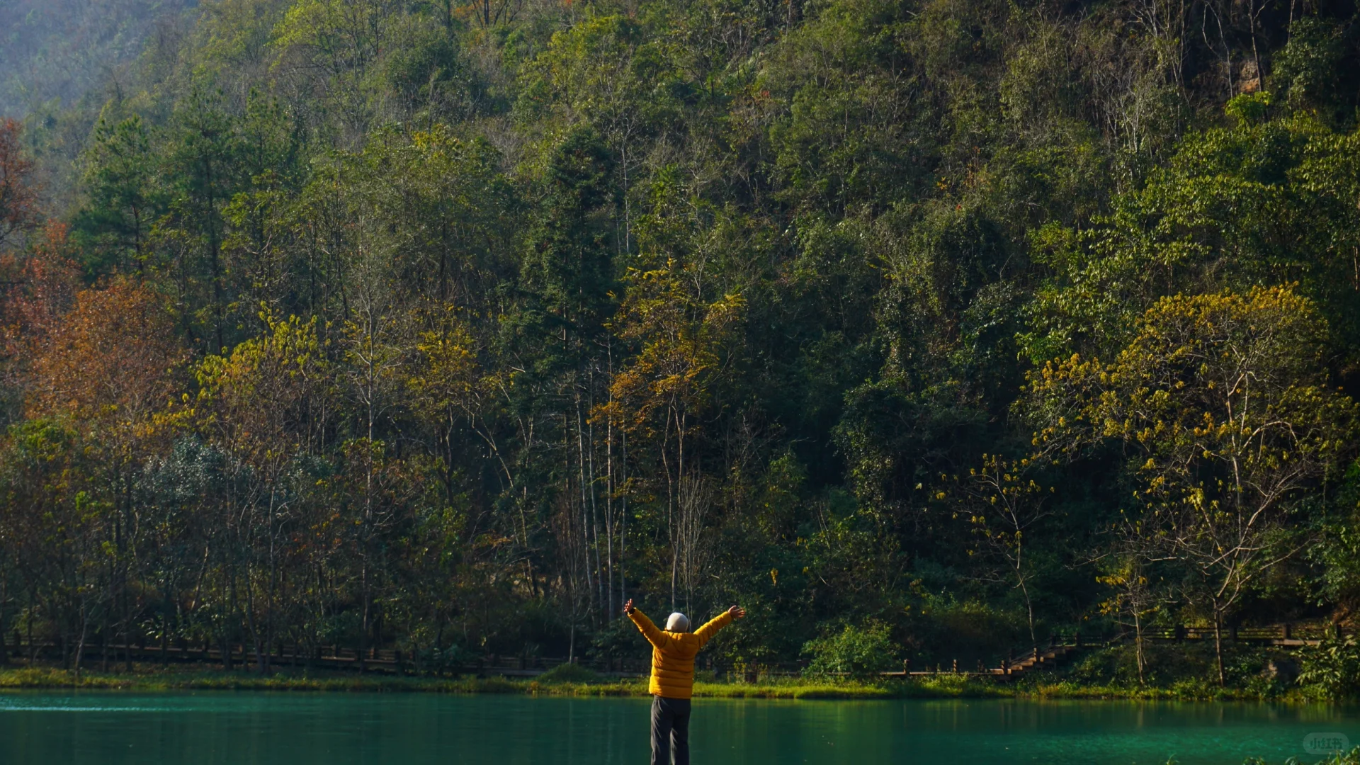樟江幻境🏞️-Day110-贵州黔南州荔波篇