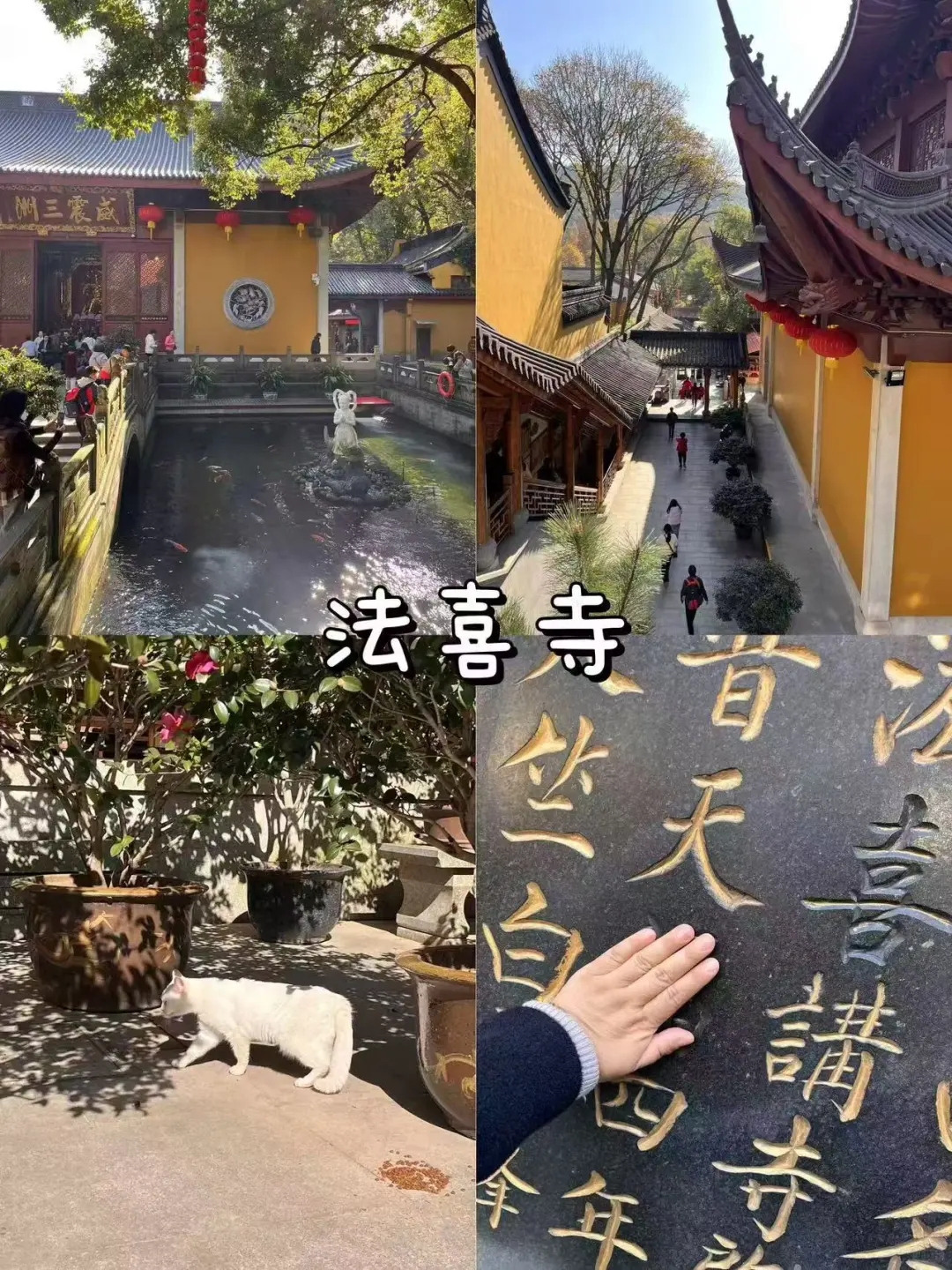 来杭州一定一定先看这篇攻略❗️