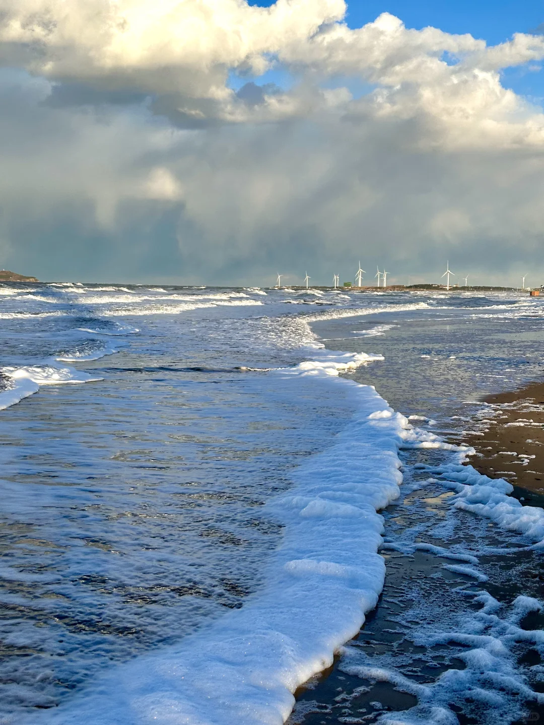 1.8威海实拍live❄️期待的大雪如约而至❤️