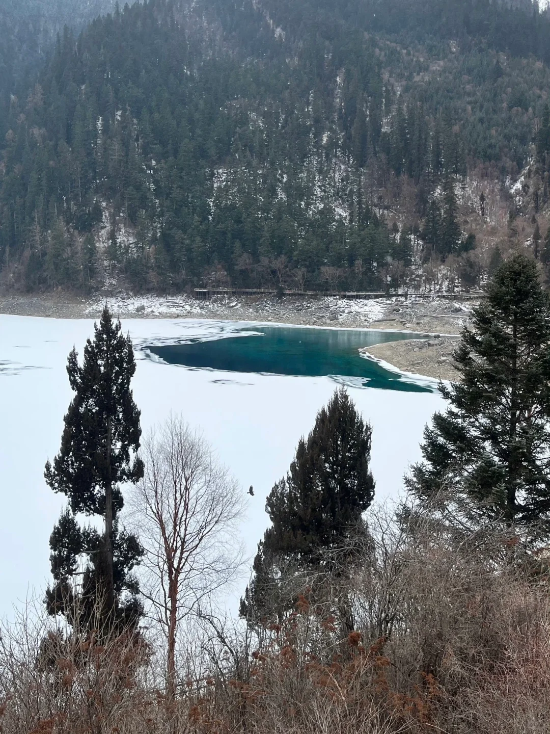 1月9号九寨沟黄龙现状....说句大实话😭