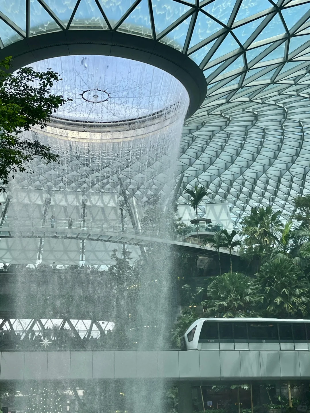 新加坡旅行攻略：必去景点与实用小贴士分享