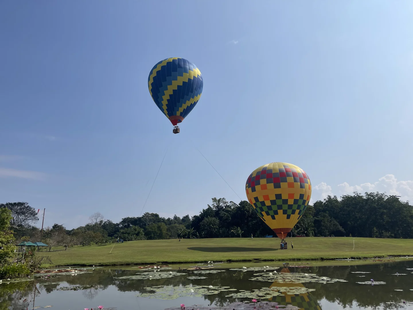 西双版纳中科院植物园