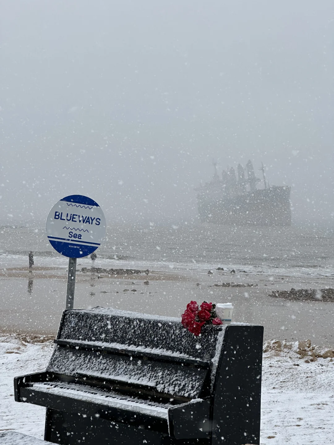 1.8威海实拍live❄️期待的大雪如约而至❤️
