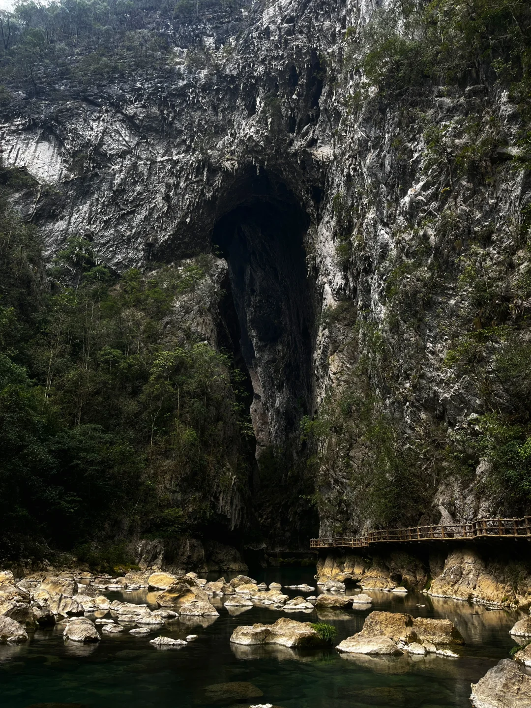 樟江幻境🏞️-Day110-贵州黔南州荔波篇