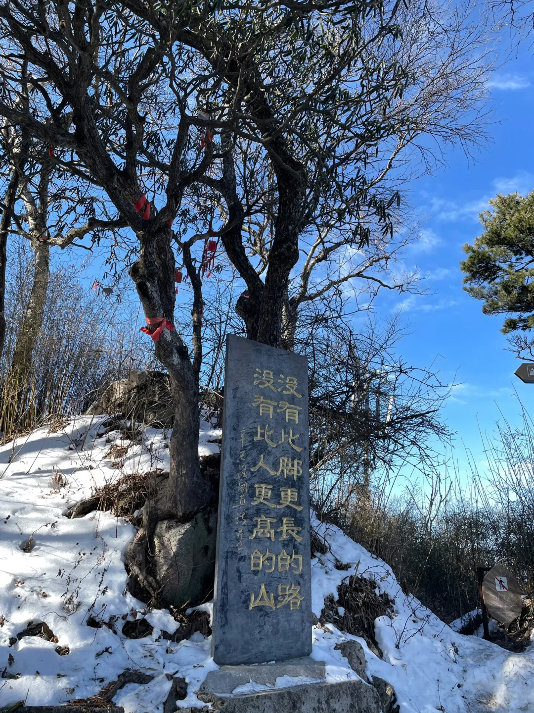别再只知道去老君山了！白云山也超好玩