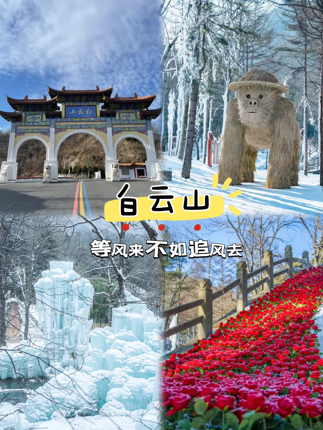 别再只知道去老君山了！白云山也超好玩